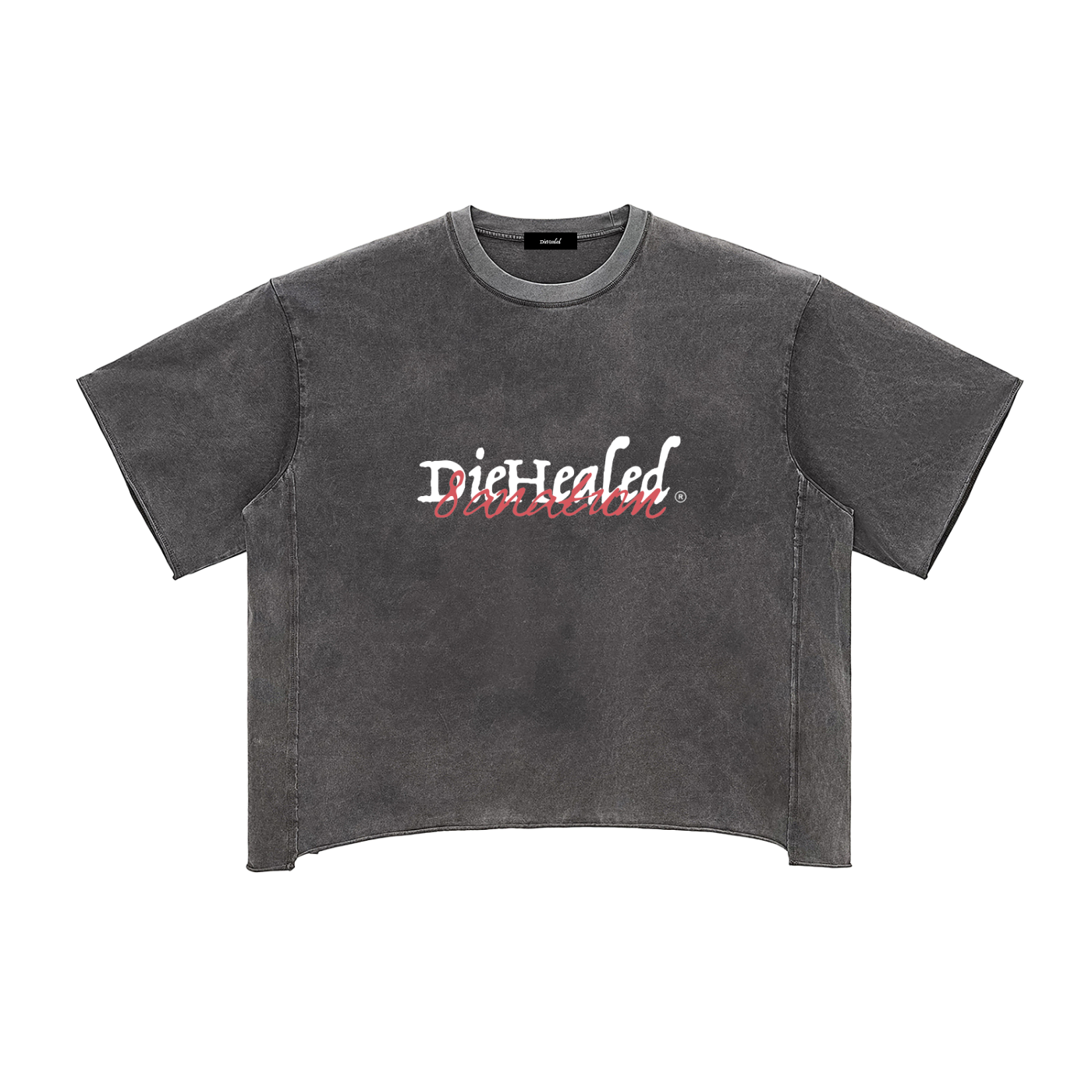 DieHealed 2026 Vintage Valentine Tee (Limited Edition)
