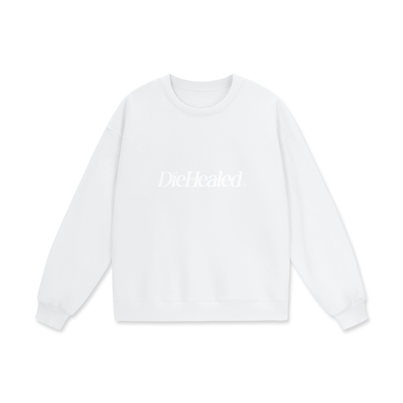 DieHealed Modern Logo Sweater