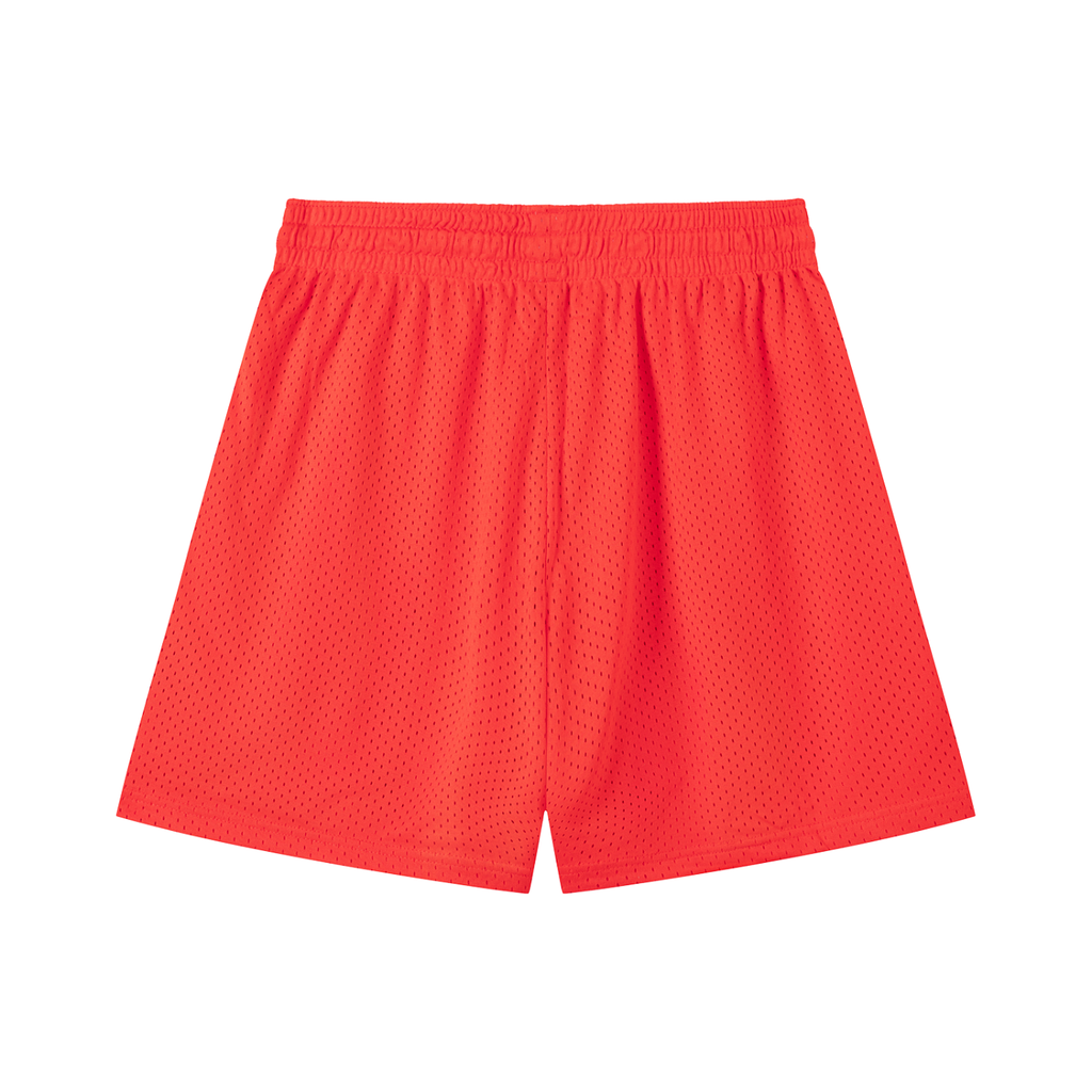 DieHealed Minimal Mesh Shorts