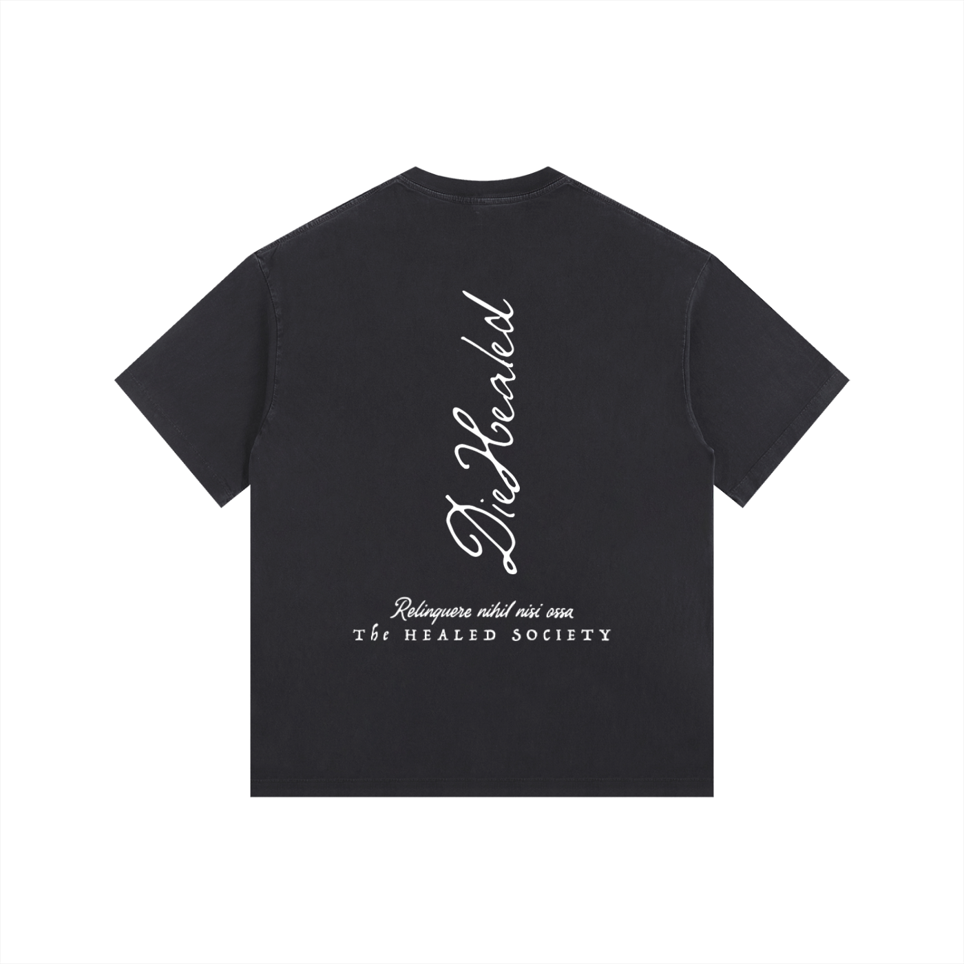DieHealed Society Tee