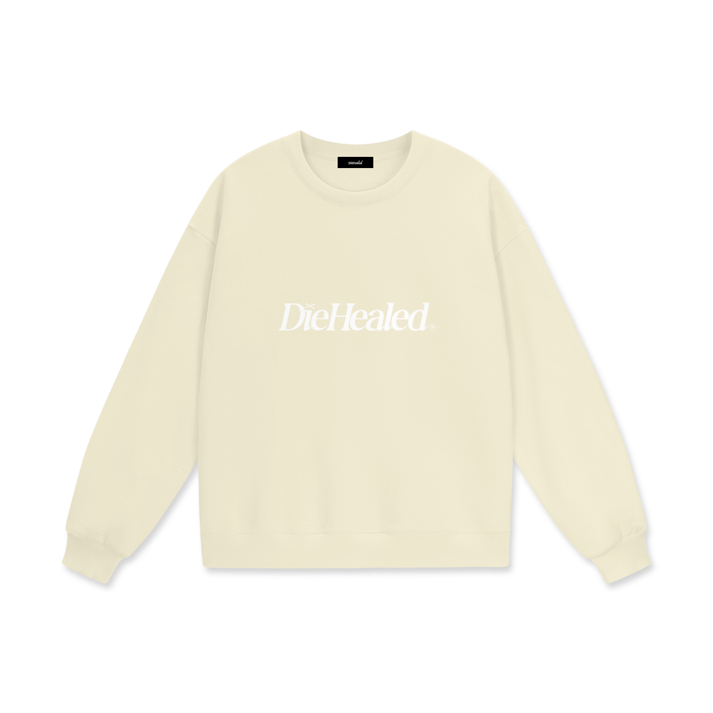 DieHealed Modern Logo Sweater