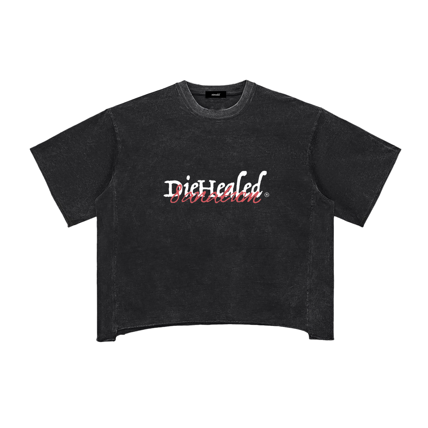 DieHealed 2026 Vintage Valentine Tee (Limited Edition)